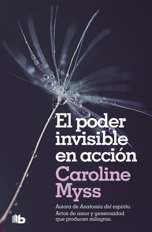 Book cover for El poder invisible en accion / Invisible Acts Of Power: The Divine Energy Of A Giving Heart