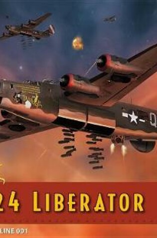 Cover of Witchcraft B-24 Liberator