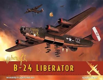 Book cover for Witchcraft B-24 Liberator