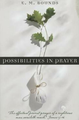 Cover of Possibilities in Prayer