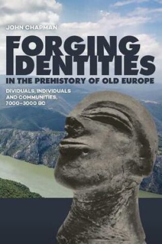 Cover of Forging Identities in the prehistory of Old Europe