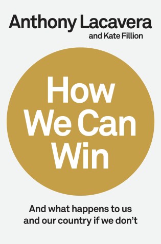 Book cover for How We Can Win