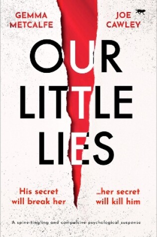 Cover of Our Little Lies