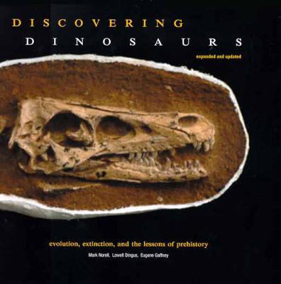 Book cover for Discovering Dinosaurs