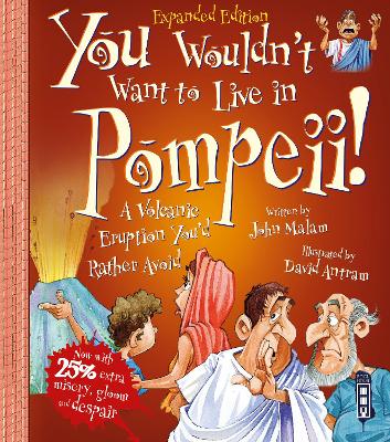 Cover of You Wouldn't Want To Be A Slave In Pompeii!