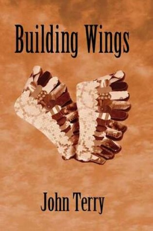 Cover of Building Wings