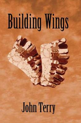 Book cover for Building Wings