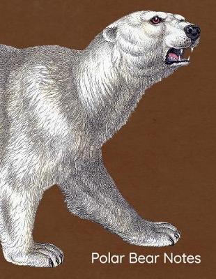 Book cover for Polar Bear Notes