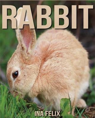 Book cover for Rabbit