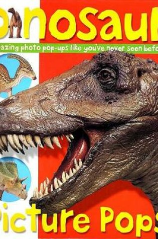 Cover of Picture Pops Dinosaur