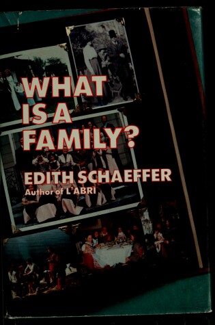 Cover of What Is a Family?