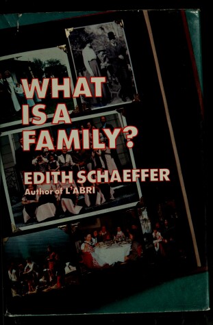 Book cover for What Is a Family?