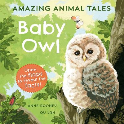 Book cover for Amazing Animal Tales: Baby Owl