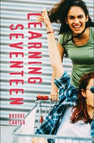 Cover of Learning Seventeen