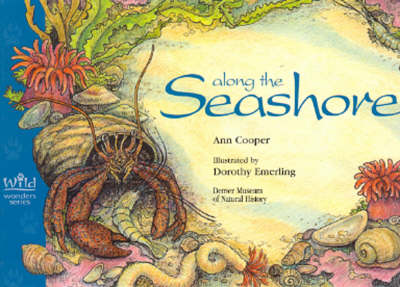 Book cover for Along the Seashore