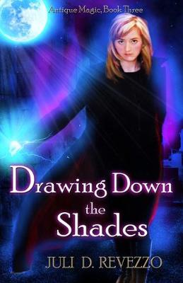 Book cover for Drawing Down the Shades