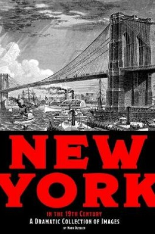 Cover of New York in the 19th Century