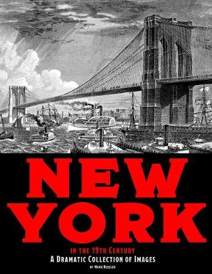 Book cover for New York in the 19th Century