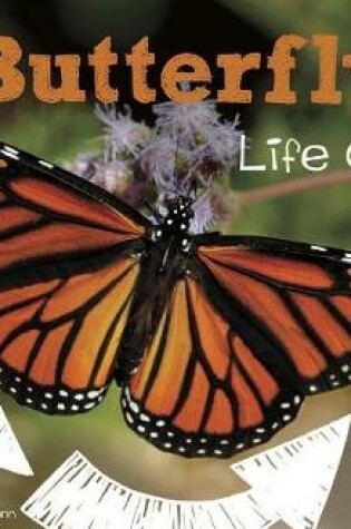 Cover of A Butterfly's Life Cycle