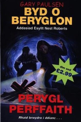Cover of Byd o Beryglon: 8. Perygl Perffaith