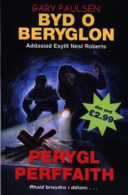 Book cover for Byd o Beryglon: 8. Perygl Perffaith