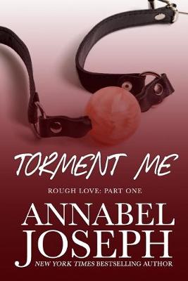 Book cover for Torment Me