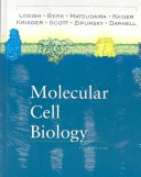 Book cover for Molecular Cell Biology 5e&cdr