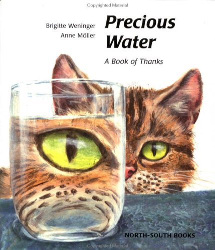 Book cover for Precious Water