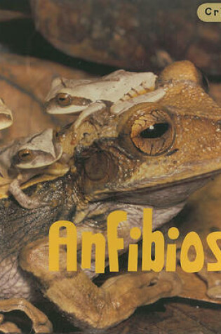 Cover of Anfibios