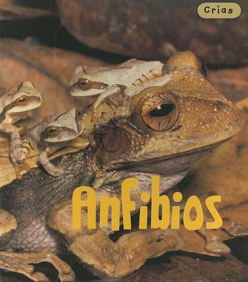 Book cover for Anfibios