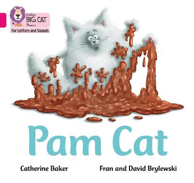 Book cover for Pam Cat
