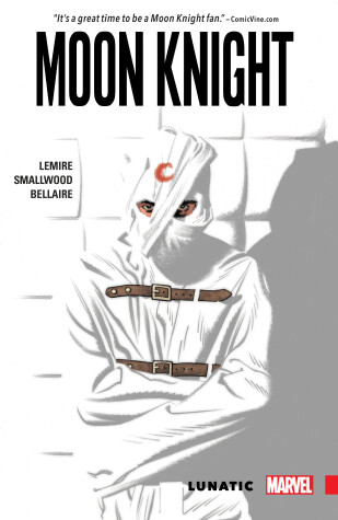Book cover for Moon Knight Vol. 1: Lunatic
