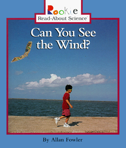 Book cover for Can You See the Wind?