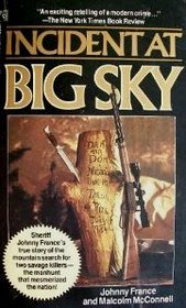 Book cover for Incident at Big Sky