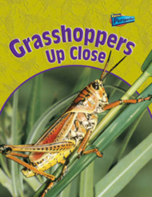 Cover of Minibeasts Up Close PK B of 6