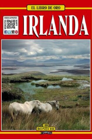 Cover of El Libro De Oro - Irlanda