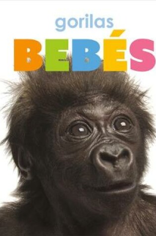 Cover of Gorilas Beb�s