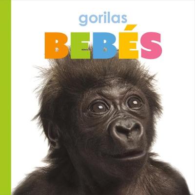 Book cover for Gorilas Beb�s
