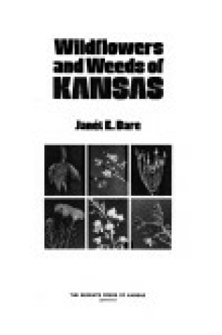 Cover of Wild Flowers and Weeds of Kansas