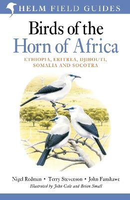 Book cover for Field Guide to Birds of the Horn of Africa
