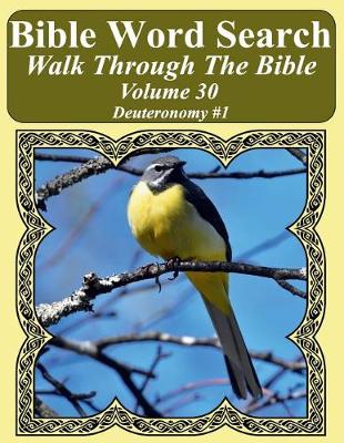Book cover for Bible Word Search Walk Through The Bible Volume 30