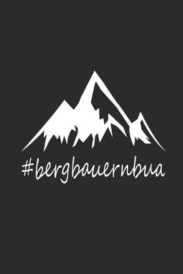 Book cover for Bergbauernbua