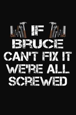 Book cover for If Bruce Can't Fix It We're All Screwed