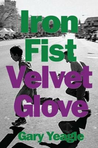 Cover of Iron Fist, Velvet Glove