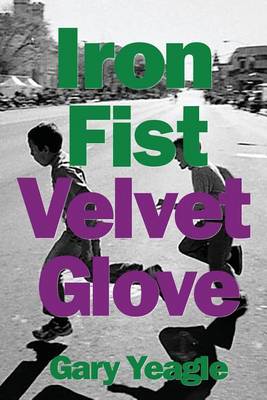 Book cover for Iron Fist, Velvet Glove