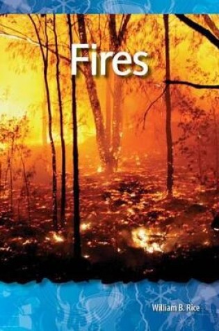 Cover of Fires