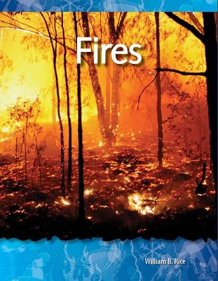 Book cover for Fires