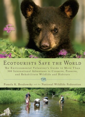 Book cover for Ecotourists Save The World