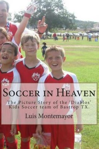 Cover of Soccer in Heaven