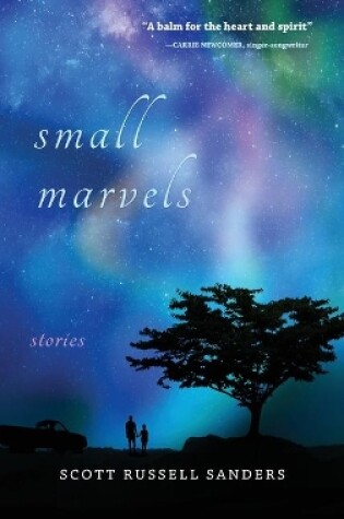 Cover of Small Marvels
